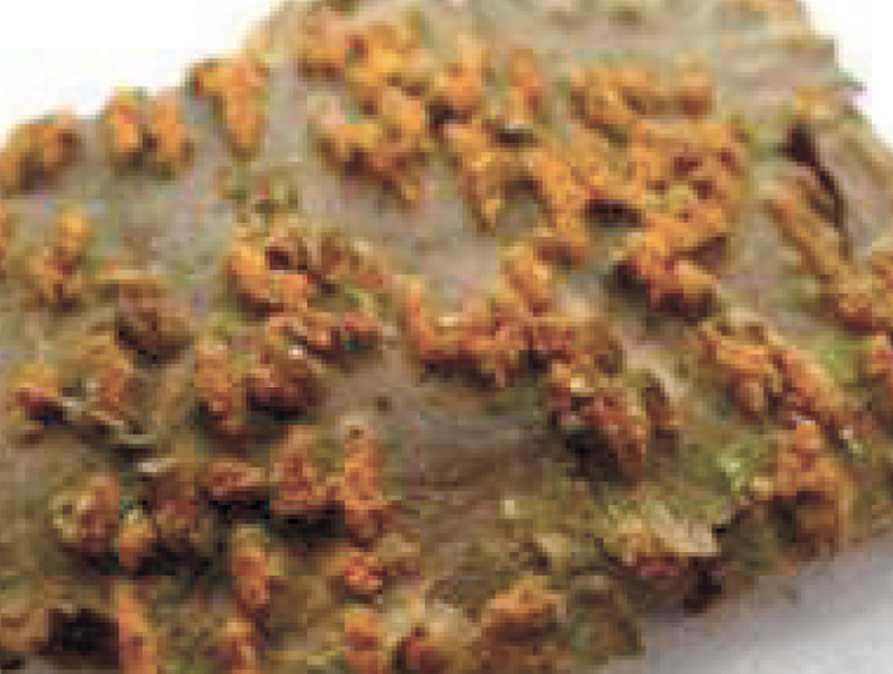 Kastanjekanker: Schadebeeld oranjerode wratjes | © CRAW